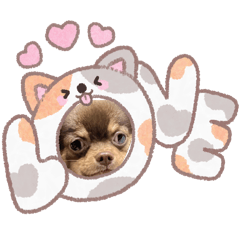 Mooice_20260323182804