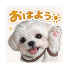 Risa_08171118