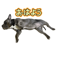 james&muscle_20260324104320