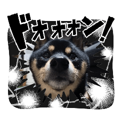 moyashi_20260324104643