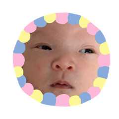 otsumuchan_20260323201443