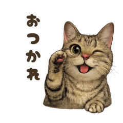 chiaki_20260323201456