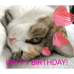 SuiSui_20260323202238