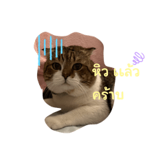 Jinglebell_20260323225910