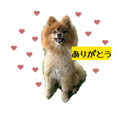 yukiko_20260323194053