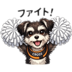 Naoki Yoshihara_20260323205749