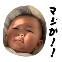 HIKARU_20260324124510