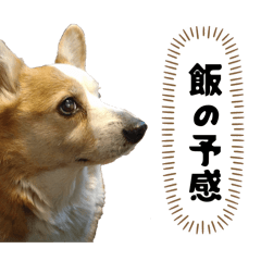 erijirou_20260324124231