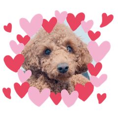 chirosuke*no Nichijo 2