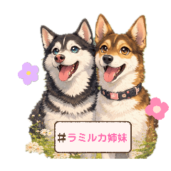 Lamy Family_20260324124753