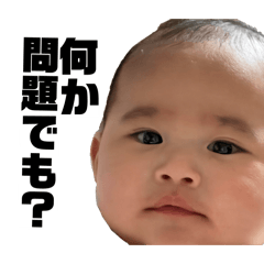 mauchi_20260324125356