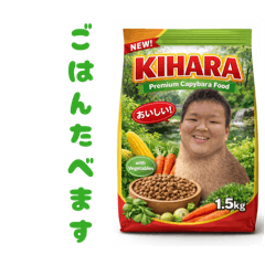 sawada_20260321181640