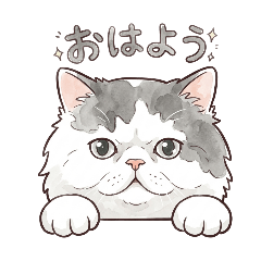 tanuo_20260323210242