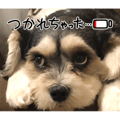 BELLE_20260323205938