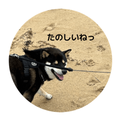 mincororin_20260323210842