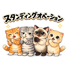 yossiee_20260324091328