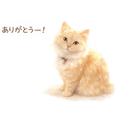 HanaHana_20260324105640