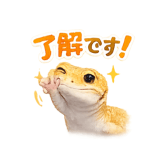 Chuugakusei_20260324140223