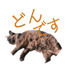 Ayaka08_20260324134502