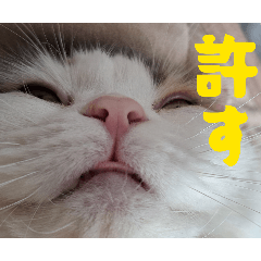 marin-1202_20260324135634