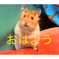 PONPON LALA  MOKA MALON