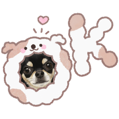 Kakichi_20260323210033