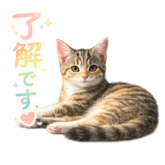やっぱり猫が好き 1