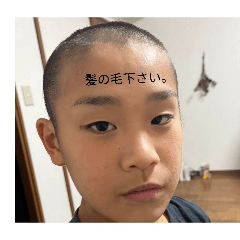 adgjmptw_20260323204655