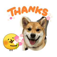 miiiimi_20260324144211