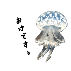 CHONMAGE_20260324145408