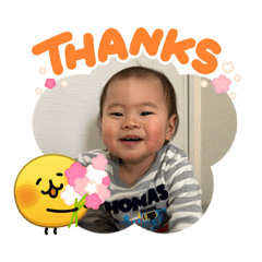 seara_20260324144228