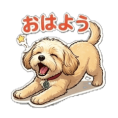 sige_chan_20260324145044