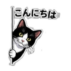 sige_chan_20260324150218