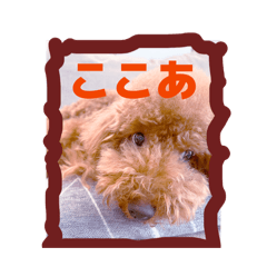 akisu_20260323213741