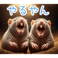 PAKAMOGOLY_20260323205937