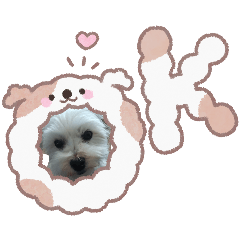 haruku_20260323213617