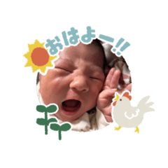 shoko_20260324150141