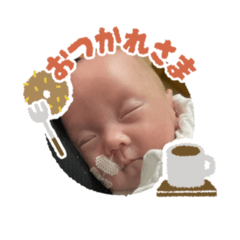 Otama_20260324151447