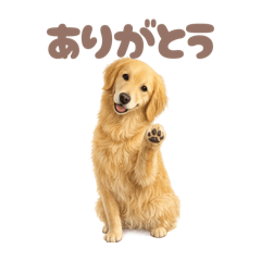 DOG STAMP ORDER_20260324151942