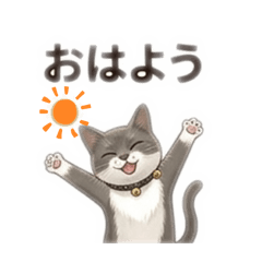 TOM TOM_20260324151500