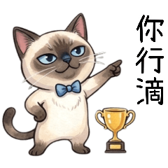 暹羅貓 阿雜的生活小日常