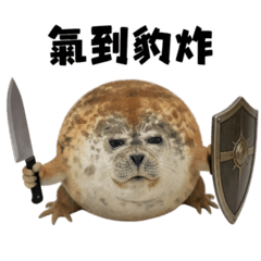 我的刀盾隻太豹歉了