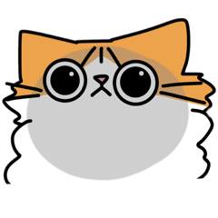 My cat&nbsp; &nbsp;Kin-chan