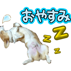 Ryusei_20260323215414