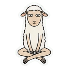 動物日常俱樂部-綿羊