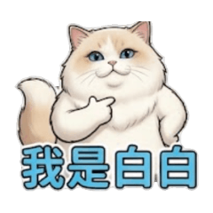 貓白白 阿不寶