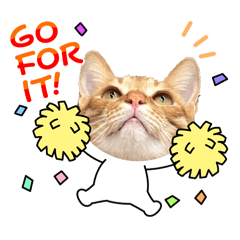 Pingu今天也不想努力