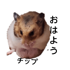 chimaki_20260324160325