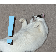 kaerukunn_20260324161513