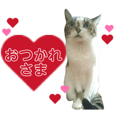 Ramsey mom_20260321211212